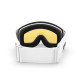Ski goggles Spektrum Templet Bio Essential 2023