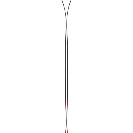 SKi Majesty Havoc 100 Carbon 2025 