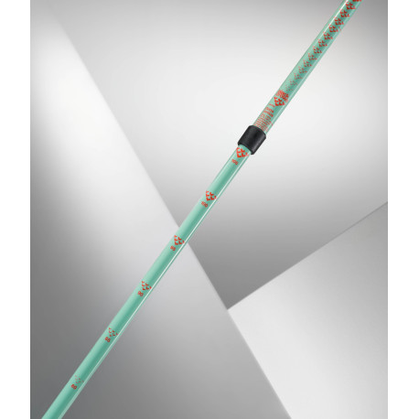 Bâtons de Ski Black Crows Duos Junius 2026 