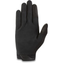 Dakine Glove Women's Syncline Desert Sage 2022