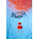 Snowboard Gnu Gloss 2025 