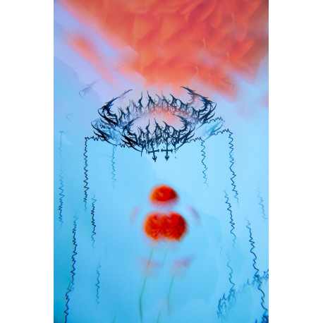 Snowboard Gnu Gloss 2025 