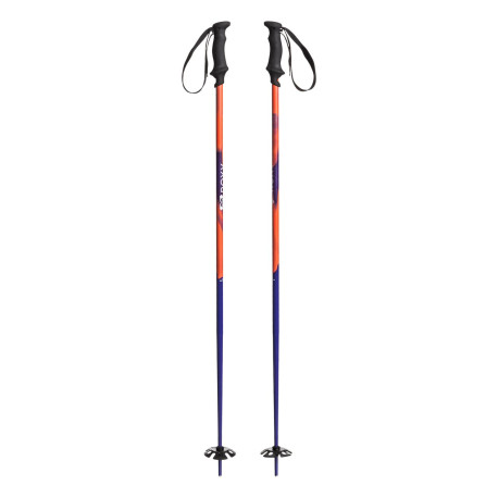 Ski Poles Roxy Shima 2019  - Ski Poles