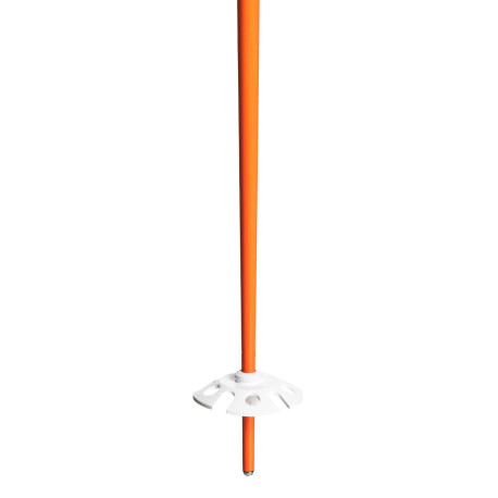 Ski Poles Roxy Kaya 2019  - Ski Poles