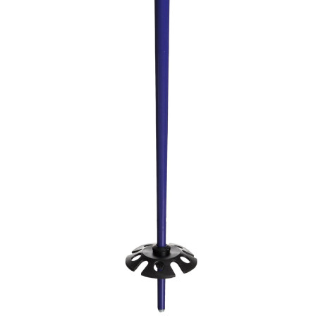 Ski Poles Roxy Shima 2019  - Ski Poles