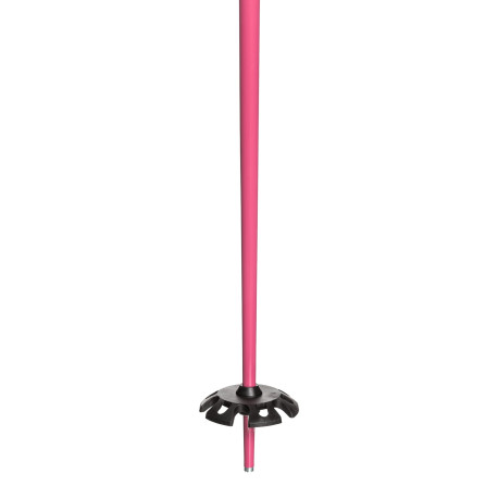 Ski Poles Roxy Shima Pink 2020  - Ski Poles