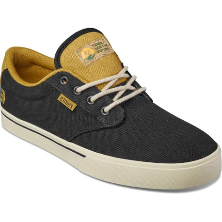 Shoe Etnies Jameson 2 Eco X Tftf 2025  - Chaussures de Skate