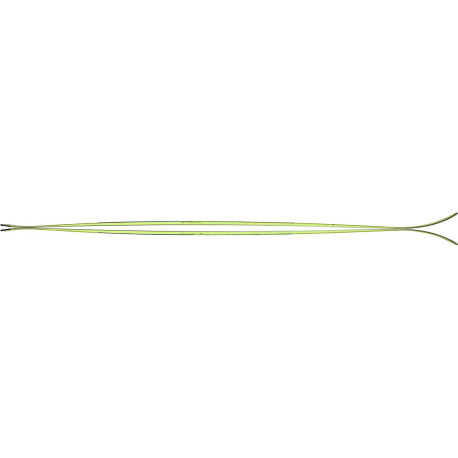 Ski Majesty Superscout 2024 + Ski Bindungen  -