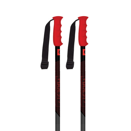 Bâtons de Ski Majesty Adventure PRO 2026 