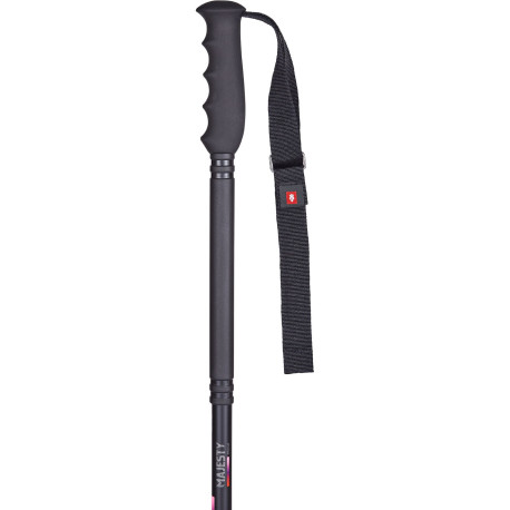 Ski Poles Majesty Freeride Ti 2p 2025  - Ski Poles