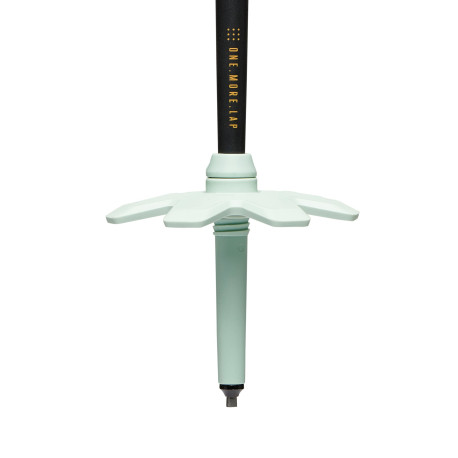 Bâtons de Ski Black Diamond Traverse Pro 2026 