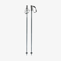 Ski Poles Head Multi Grey White 2025 