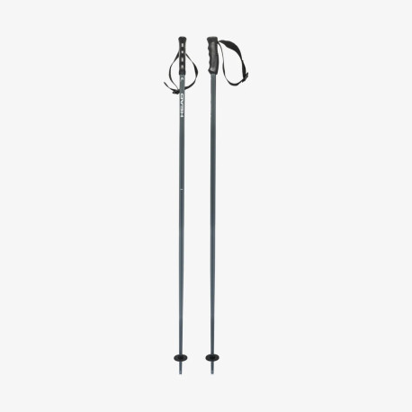 Skistöcke Head Multi Grey White 2025  - Skistöcke