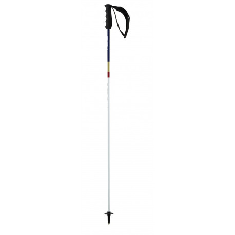 Bâtons de Ski Head Porsche Carbon 2024