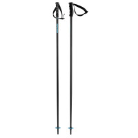 Ski Poles Head Multi Black Speed 2025 