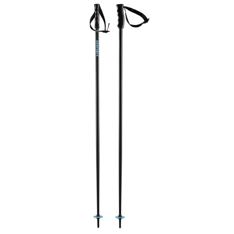 Ski Poles Head Multi Black Speed 2025  - Ski Poles