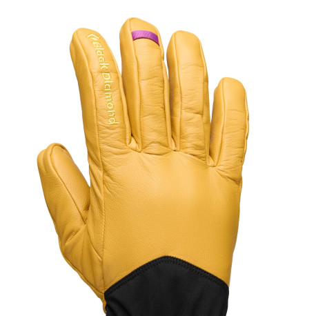 Ski gloves Black Diamond Tour 2026  - Ski Gloves