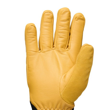 Ski gloves Black Diamond Tour 2026  - Ski Gloves