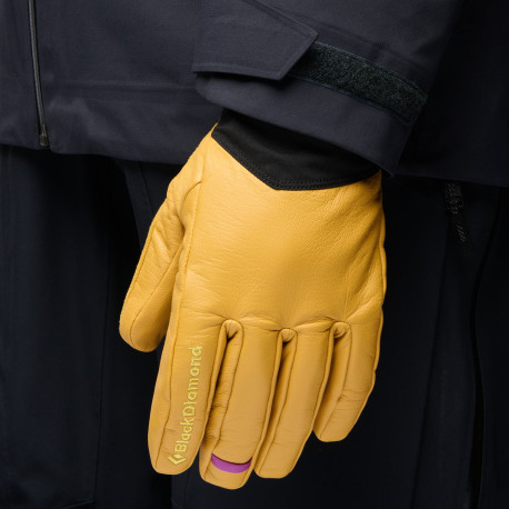 Ski gloves Black Diamond Tour 2026  - Ski Gloves