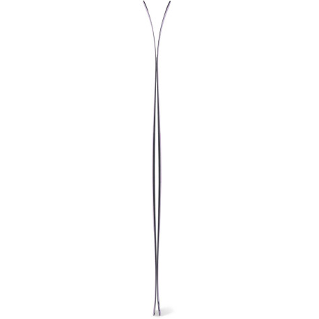 Ski Dps Wailer 100 2026  - Ski Ohne Bindung