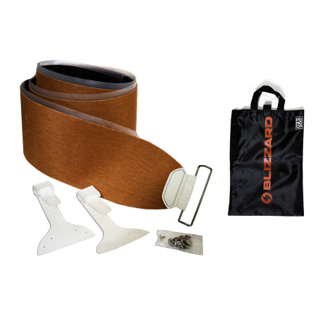 Blizzard Up Till 2025 