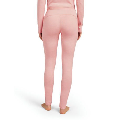 Technical Baselayer Bottoms Icebreaker Women Merino 260 Tech Leggings 2025 