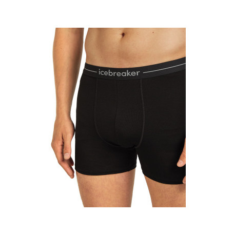 Boxer Icebreaker Men Merino 150 Anatomica Boxers 2025 