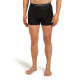 Boxer Icebreaker Men Merino 150 Anatomica Boxers 2025 