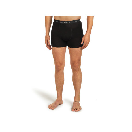 Boxershorts Icebreaker Men Merino 150 Anatomica Boxers 2025 