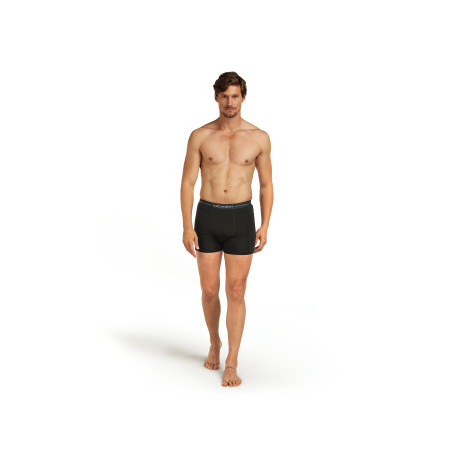Boxer Icebreaker Men Merino 150 Anatomica Boxers 2025 