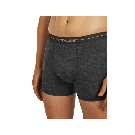 Boxer Icebreaker Men Merino 150 Anatomica Boxers 2025 