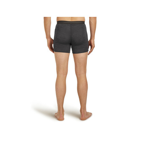 Boxer Icebreaker Men Merino 150 Anatomica Boxers 2025 