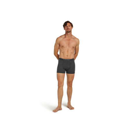 Boxer Icebreaker Men Merino 150 Anatomica Boxers 2025 