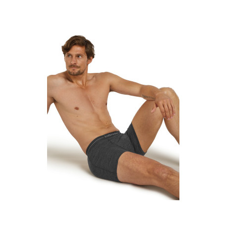 Boxer Icebreaker Men Merino 150 Anatomica Boxers 2025 