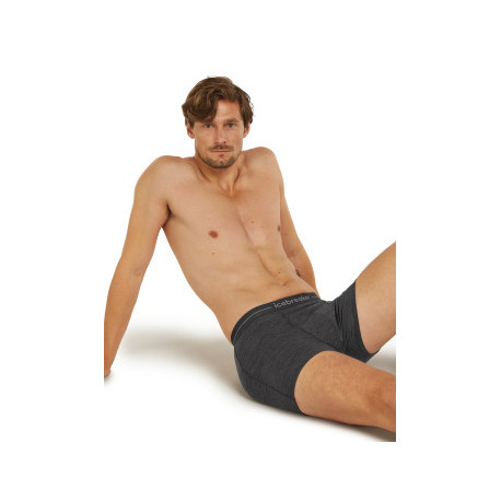 Boxer Icebreaker Men Merino 150 Anatomica Boxers 2025 