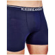 Boxer Icebreaker Men Merino 150 Anatomica Boxers 2025 