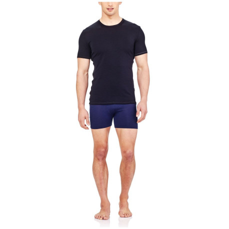 Boxer Icebreaker Men Merino 150 Anatomica Boxers 2025 