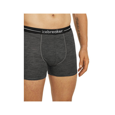 Boxershorts Icebreaker Men Merino 150 Anatomica Boxers 2025 