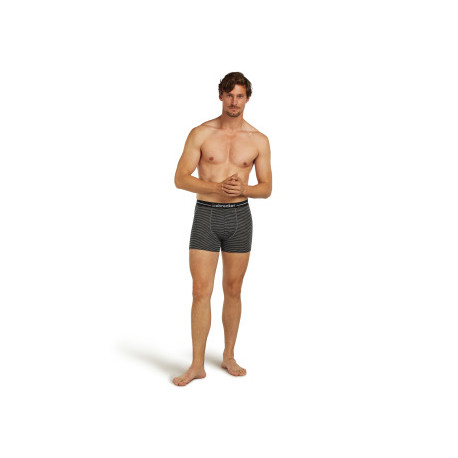 Boxer Icebreaker Men Merino 150 Anatomica Boxers 2025 