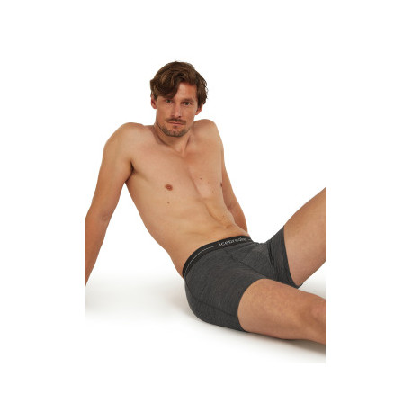 Boxershorts Icebreaker Men Merino 150 Anatomica Boxers 2025 