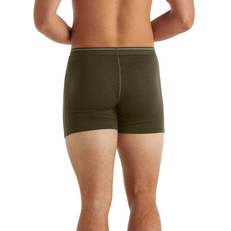 Boxer Icebreaker Men Merino 150 Anatomica Boxers 2025 
