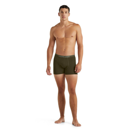 Boxer Icebreaker Men Merino 150 Anatomica Boxers 2025 