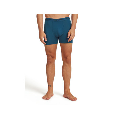 Boxer Icebreaker Men Merino 150 Anatomica Boxers 2025 