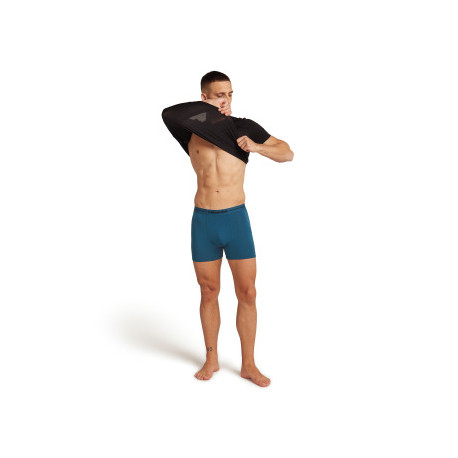 Boxer Icebreaker Men Merino 150 Anatomica Boxers 2025 