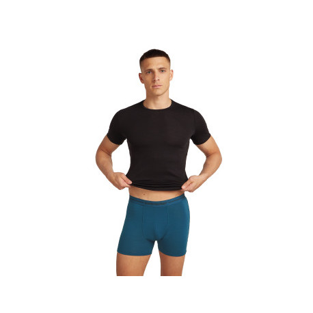 Boxershorts Icebreaker Men Merino 150 Anatomica Boxers 2025 