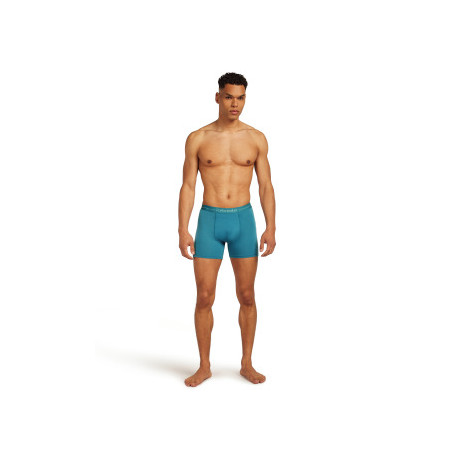 Boxer Icebreaker Men Merino 150 Anatomica Boxers 2025 