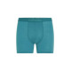 Boxer Icebreaker Men Merino 150 Anatomica Boxers 2025 