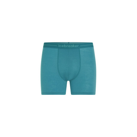 Boxer Icebreaker Men Merino 150 Anatomica Boxers 2025 