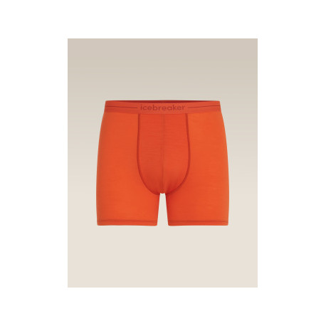 Boxer Icebreaker Men Merino 150 Anatomica Boxers 2025 