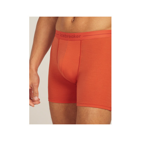 Boxer Icebreaker Men Merino 150 Anatomica Boxers 2025 